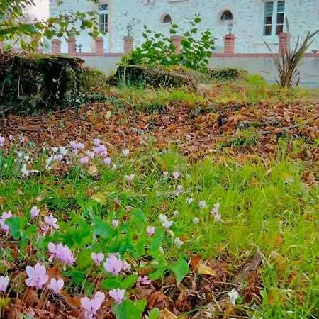 Gite & Chambre D'hotes Du Moulin Semesterbostad *