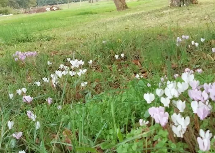 度假居 Gite & Chambre D'hotes Du Moulin