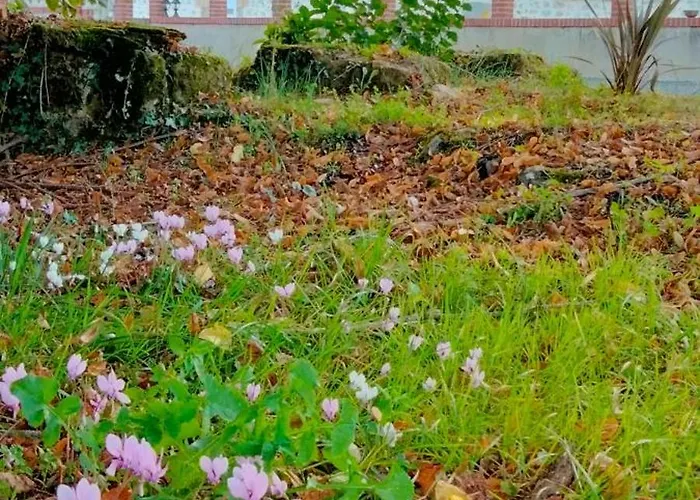 Gite & Chambre D'hotes Du Moulin 度假居 *